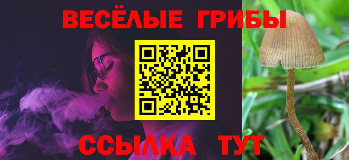 Галлюциногенные грибы GOLDEN TEACHER Соль-Илецк